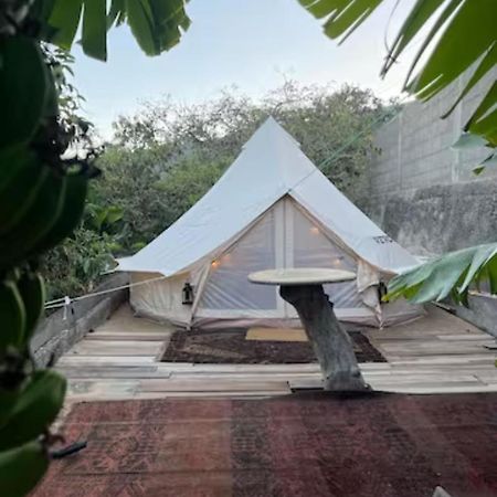 Yurt In Avocado Garden Hotel Güimar Екстериор снимка