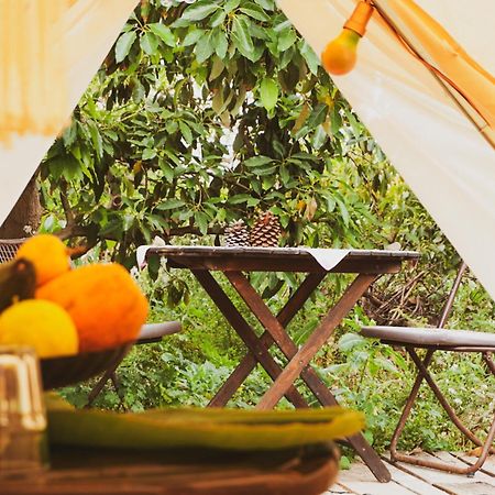 Yurt In Avocado Garden Hotel Güimar Екстериор снимка