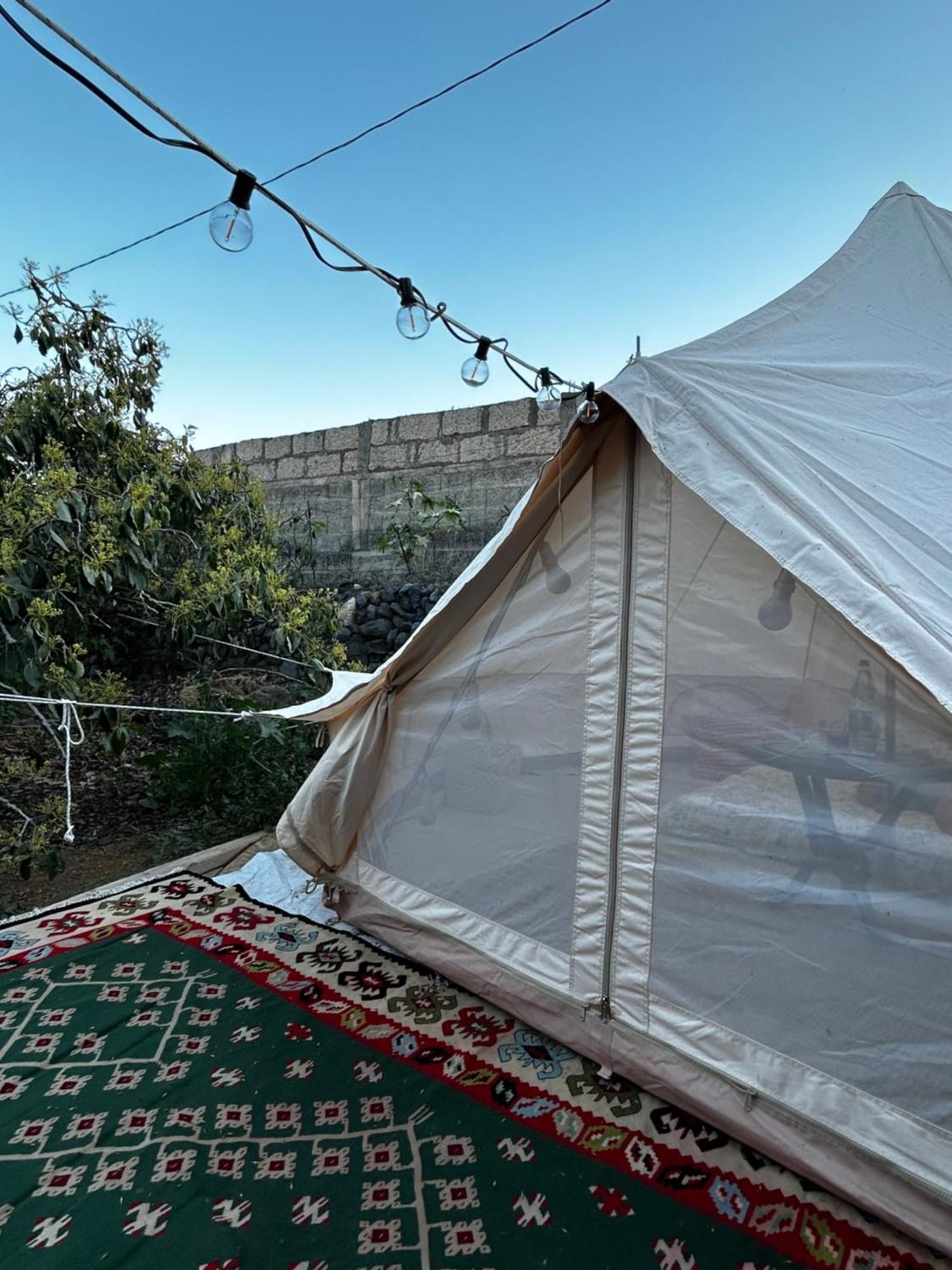 Yurt In Avocado Garden Hotel Güimar Екстериор снимка