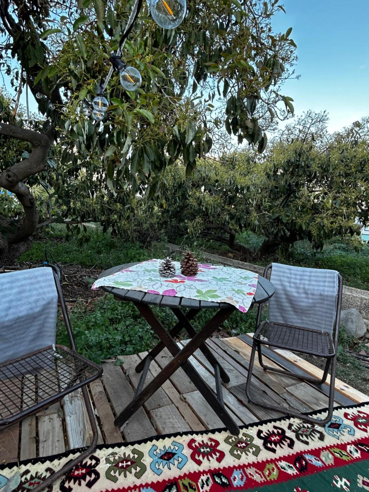 Yurt In Avocado Garden Hotel Güimar Екстериор снимка