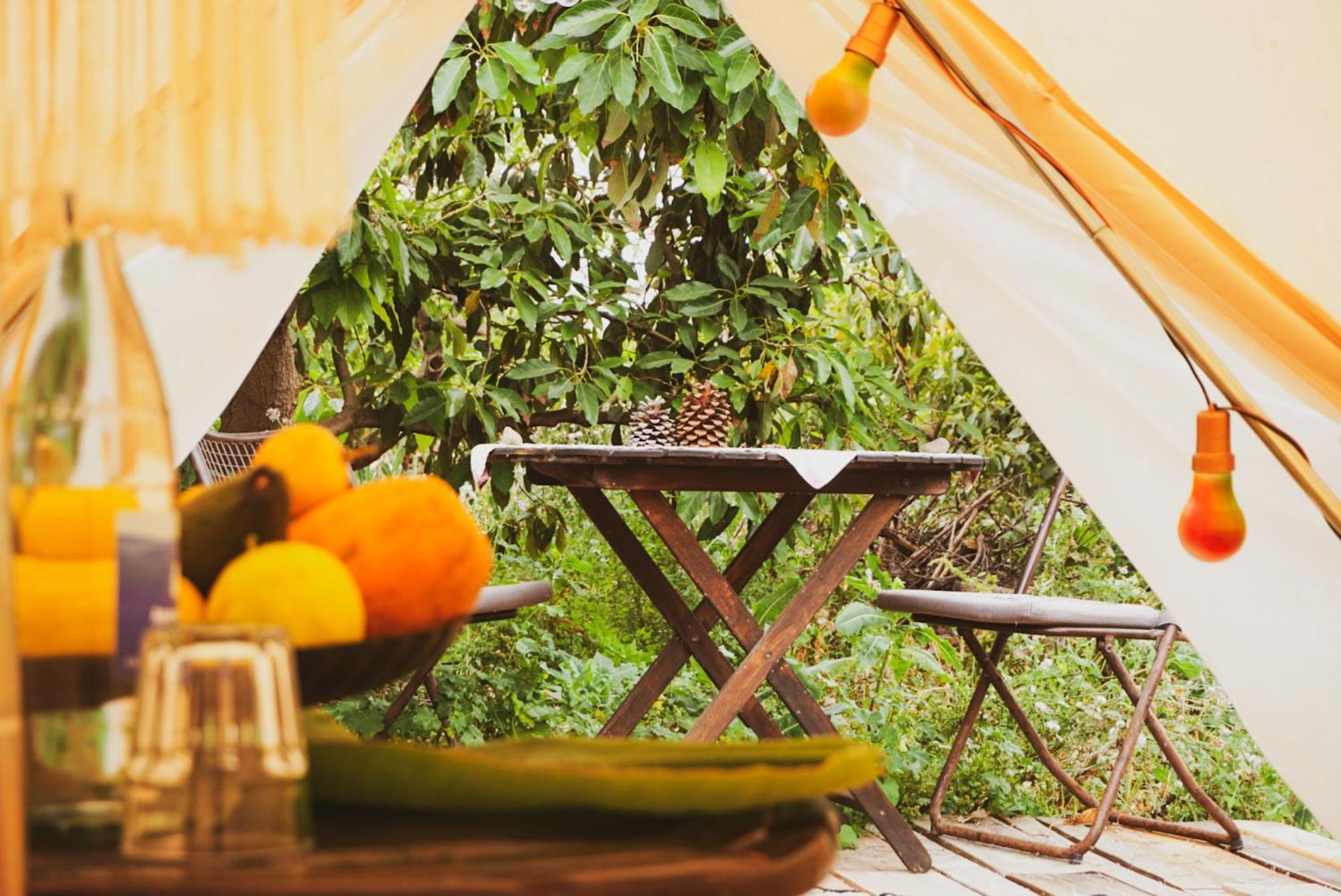 Yurt In Avocado Garden Hotel Güimar Екстериор снимка